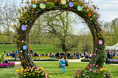 gardeniada4