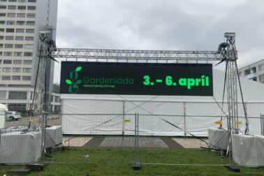 gardeniada5