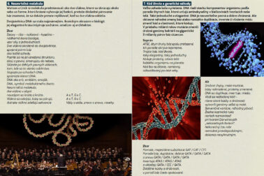 Byst-Origins-bulletin