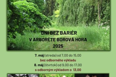 Dni bez bariér 2025 plagat
