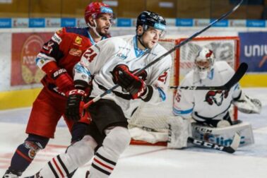 tomas zigo3