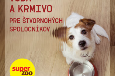 voda akrmivo pre psíkov