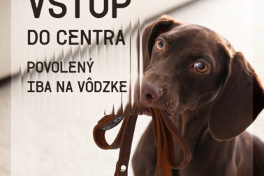 vstup do centra