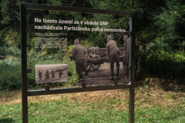 2024_06_13_TS_Drakovlak_6