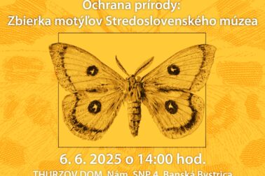 Motýle_stvorec copy