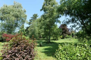 arboretum1