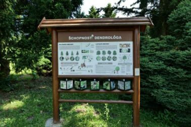 arboretum2