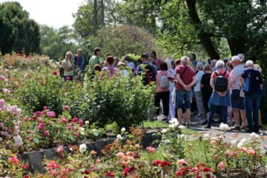 arboretum3