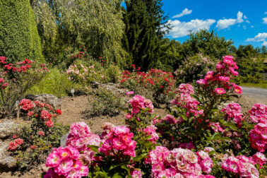 arboretum5