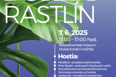 plagat Burza rastlin