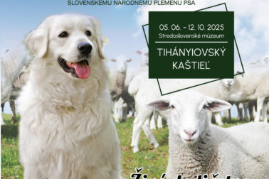 vystava cuvac plagat