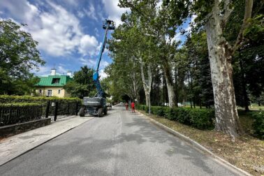 park6