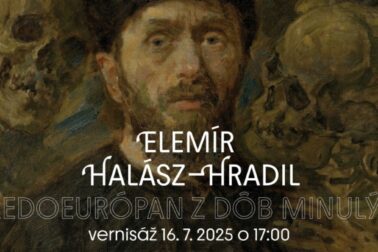 plagat vystava hradil