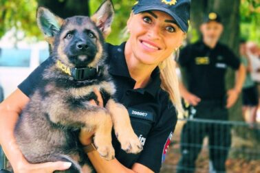 den policie7