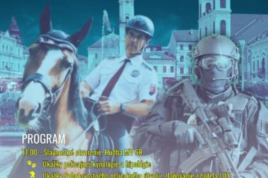 plagat den policie bb