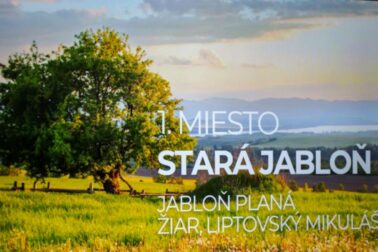 1. miesto