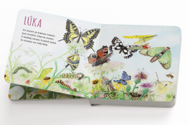 maketa-Luka-16-10-w