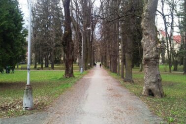 mestsky park1