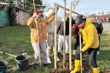 584729355_804974292377639_684339159193712437_n