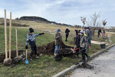 584748991_804973705711031_791008799439806771_n