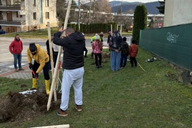 585608982_804974199044315_8729068770917454544_n