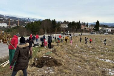 585883813_804973809044354_2170304702735710474_n