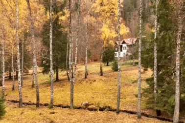 Korytnica_Stromova alej_s