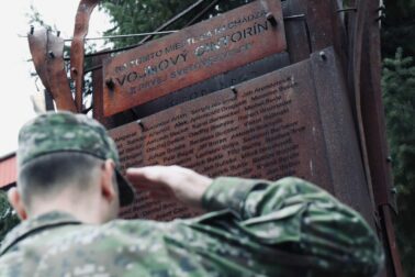 den vojnovych veteranov5