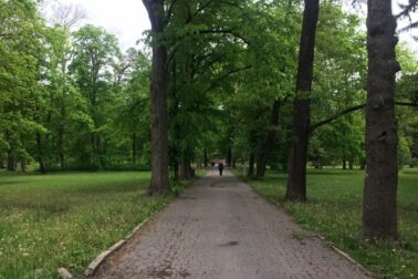 mestsky park stromy1