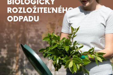 zber biologickeho odpadu