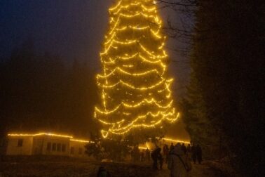 Korytnica_vianocny strom_MatusMajtan
