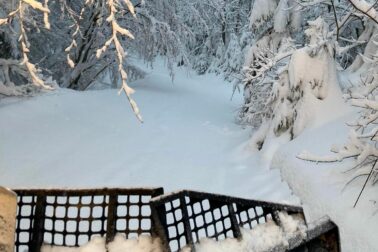 úprava bežeckých tratí (1)