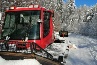 úprava bežeckých tratí (2)