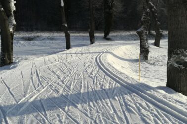 úprava bežeckých tratí (4)