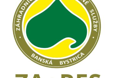 zaares logo