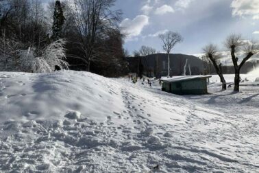 608513699_1273546248133459_1622450877838038262_n