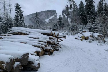 608903593_1275050204649730_8328125755761326561_n