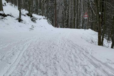 608920286_1275050891316328_7121775193535684751_n