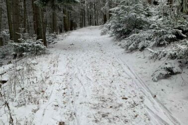 608953939_1275048934649857_3207028933653087621_n