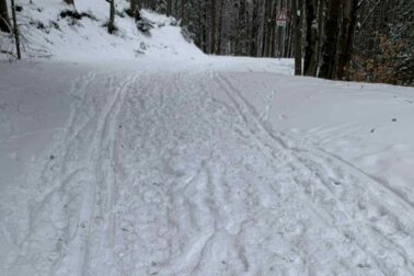 609154801_1275050894649661_1752349594033762441_n