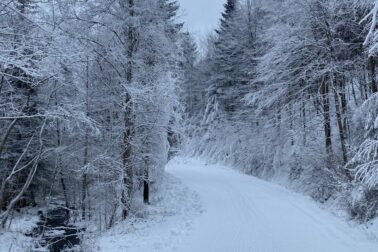 612350942_1272333361584792_2081939118621317299_n