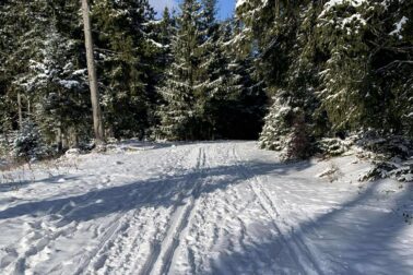 613024510_1280426887445395_1602008764285015114_n