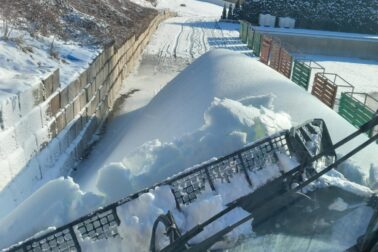 613085340_1280427807445303_4004300350968874211_n