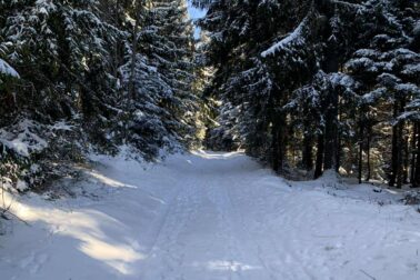 613086429_1280426884112062_2659142289944318955_n