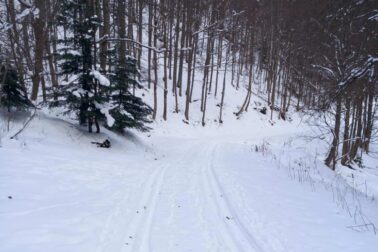 613098951_1280429870778430_8826127233190945603_n