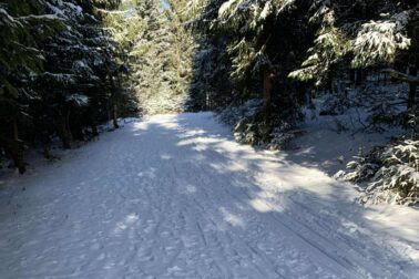 613115068_1280428287445255_5830157467908524733_n