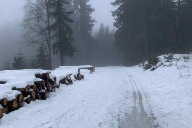 624377131_1297441175743966_4455643542076618241_n