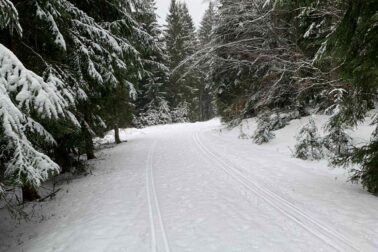 624688586_1297440889077328_410448848684398099_n