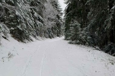 624717182_1297440882410662_2907973078025789672_n