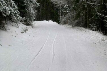 624749380_1297440885743995_585937257296722407_n